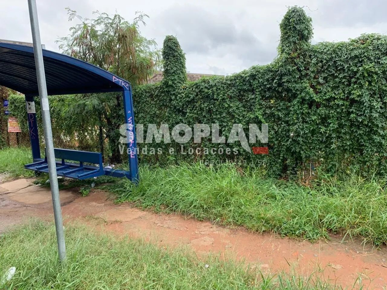 terreno - Jardim Santana - Campinas - Foto 3