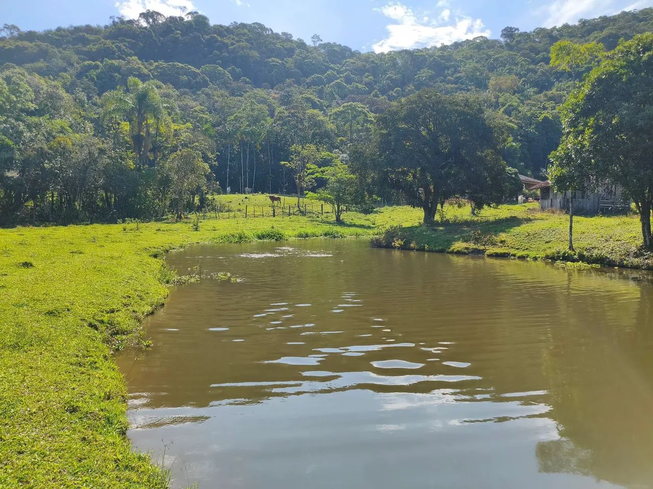 Belíssima Chácara no vila nova  - Foto 4