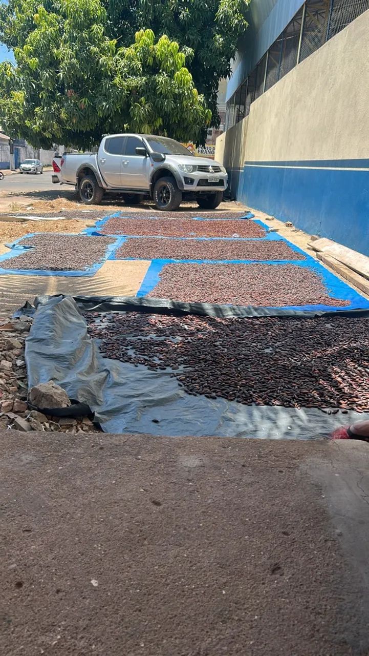 Cumaru  - Foto 2
