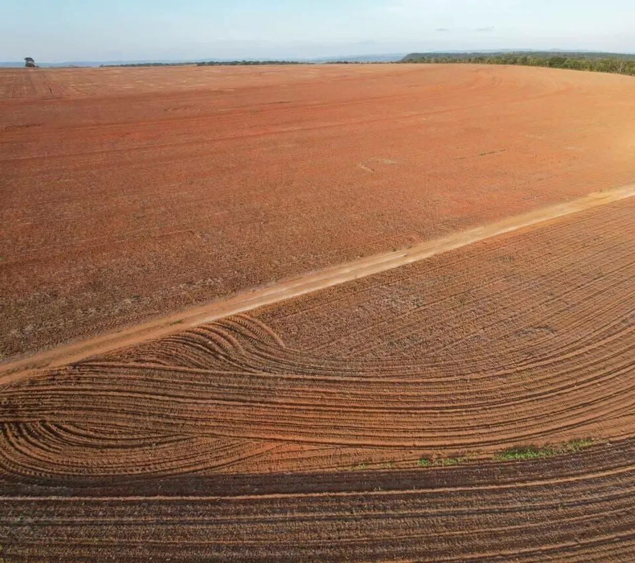 Fazenda com Dívida 989 alqueires em Barra do Garça MT. 