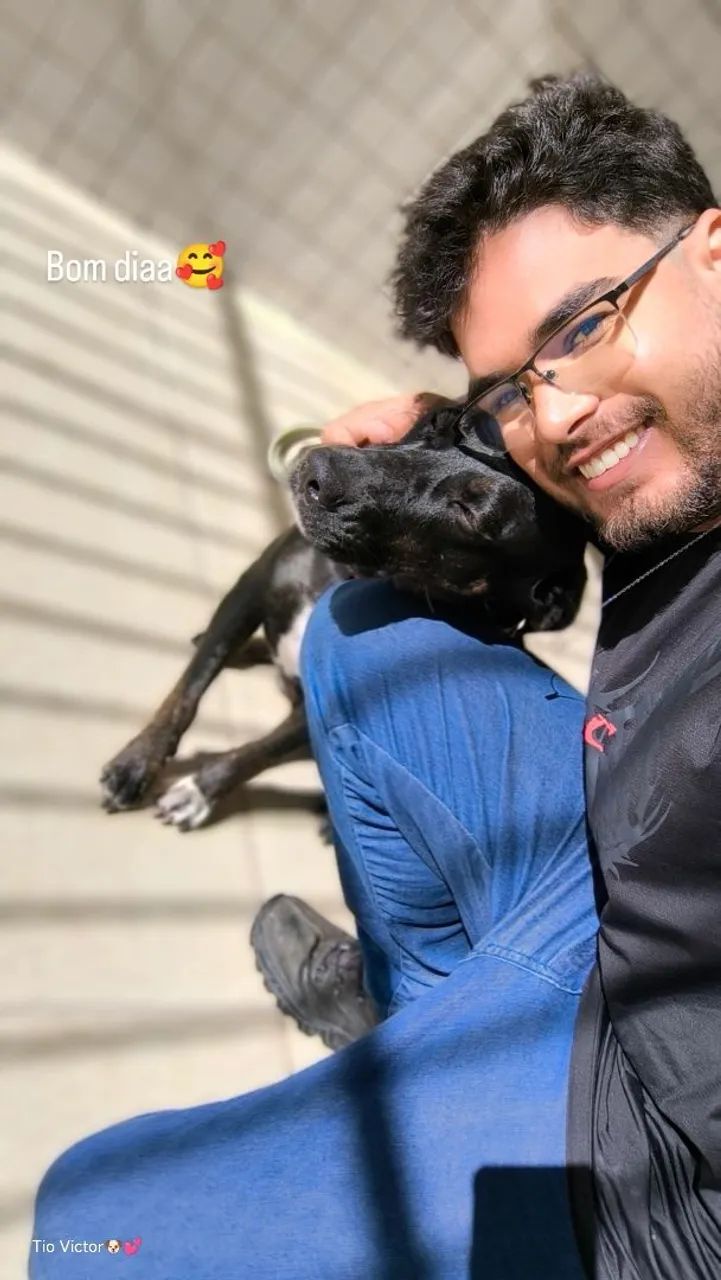 Tio Vitor Pet Care  - Foto 4