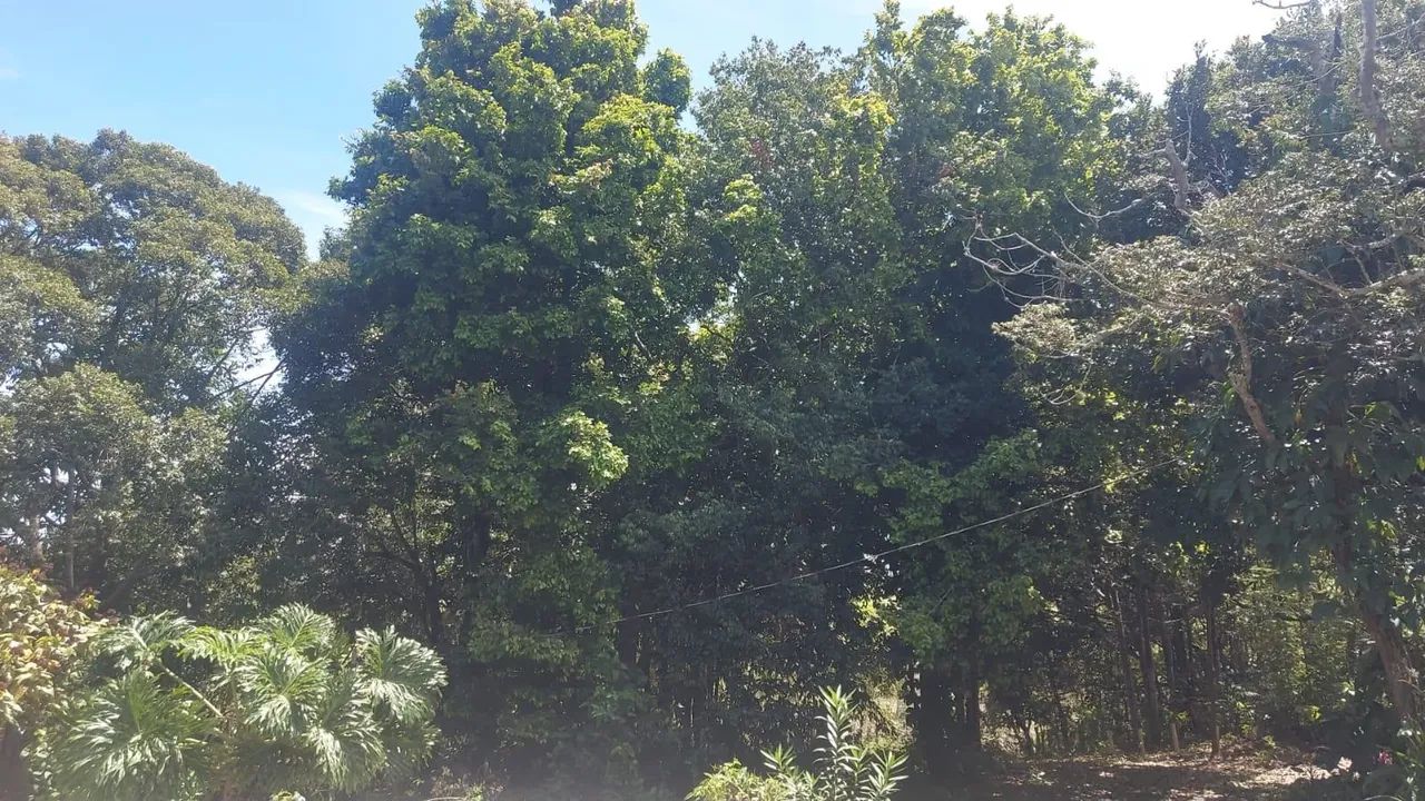 Vendo chácara no Retiro do congo vila velha  - Foto 5