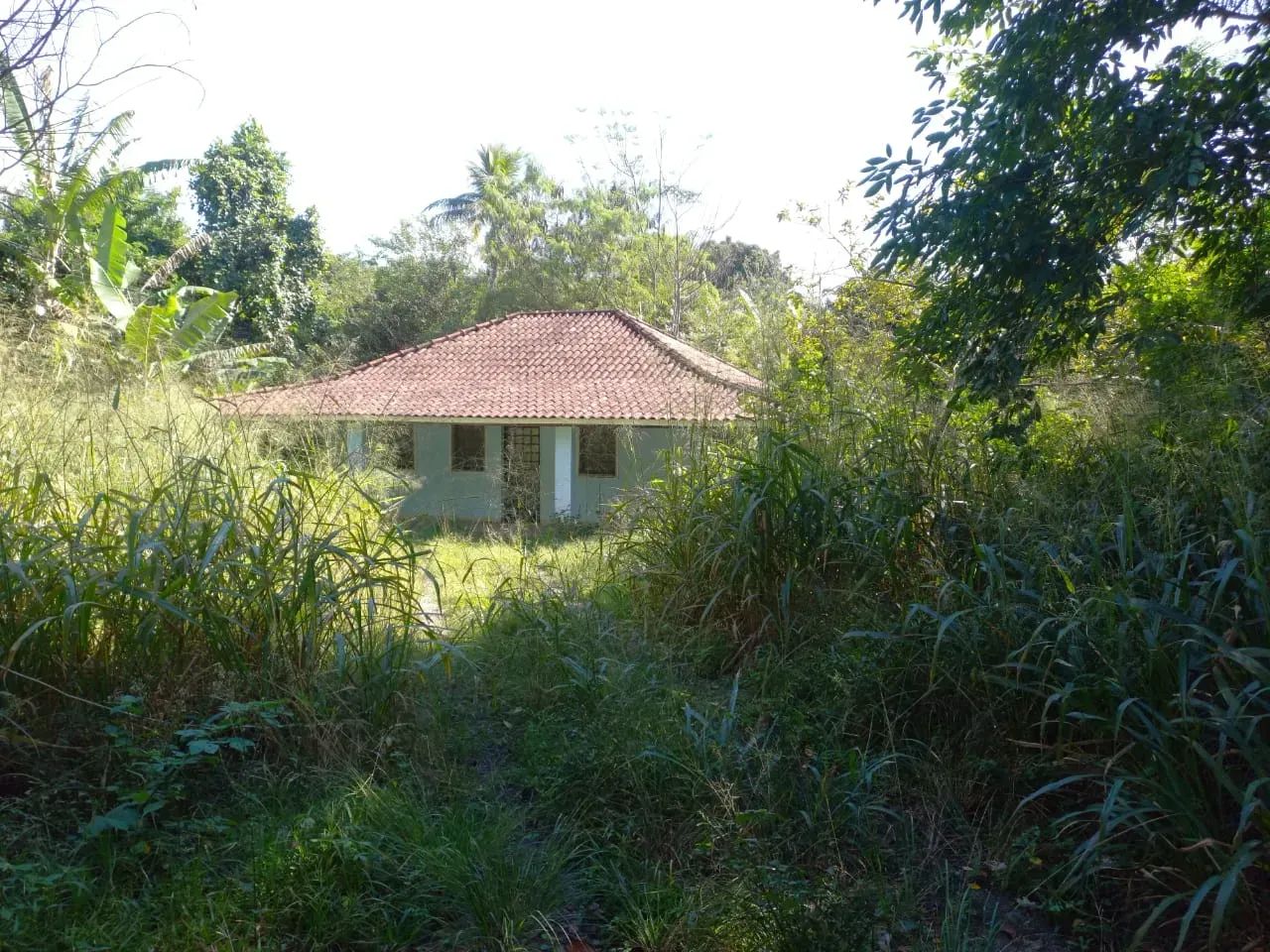 área com 30.000m² - Foto 2