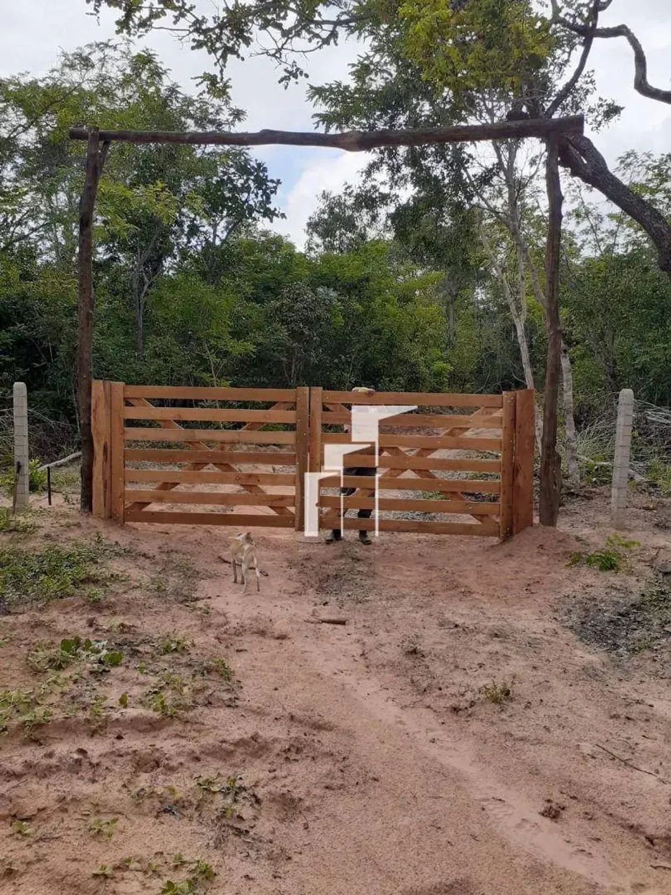 TERRENO À VENDA  NOVA OLINDA | MARANHÃO - Foto 5