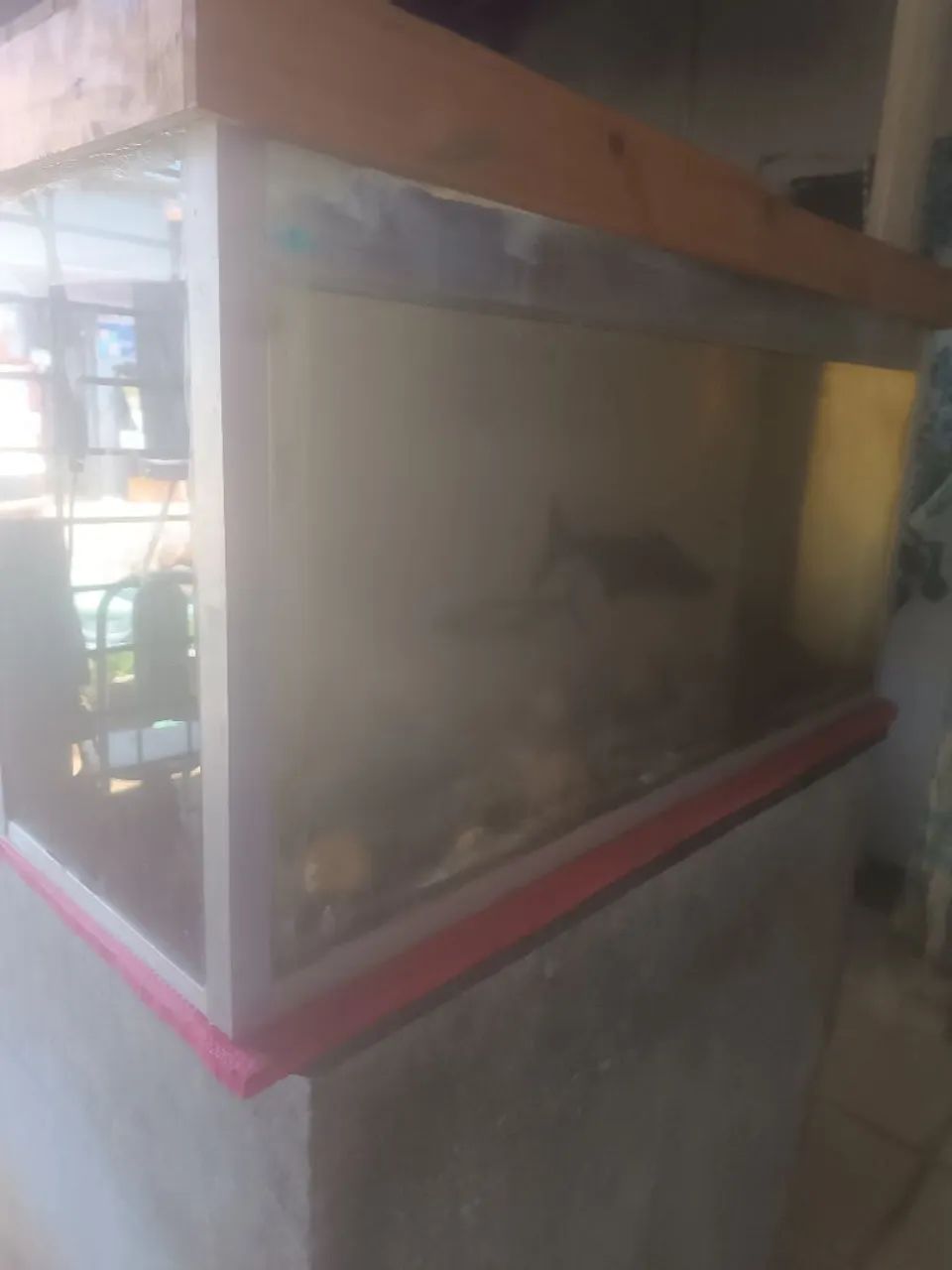 Aqurio