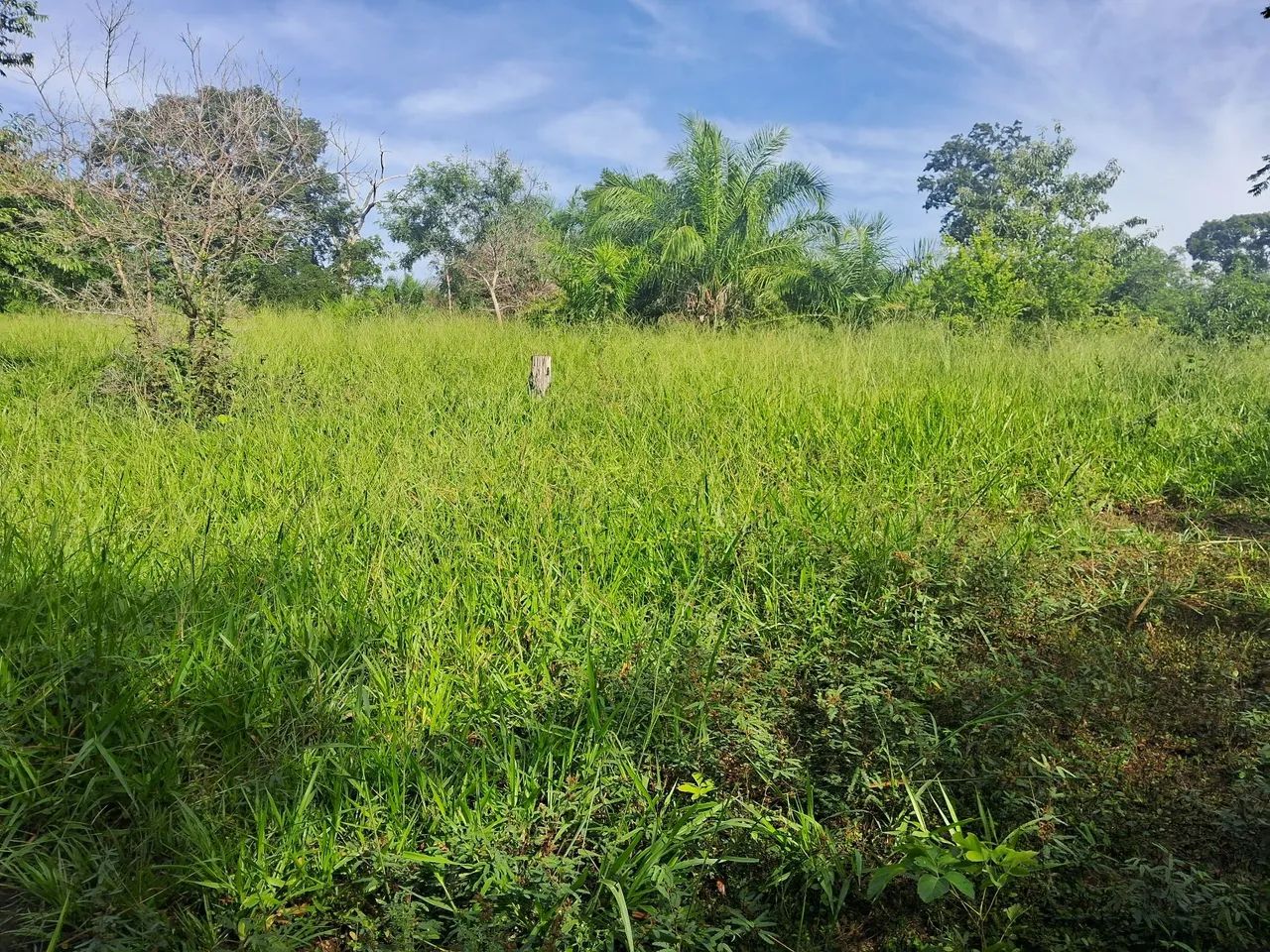 Chácara a venda em Taboco corguinho ms - Foto 4