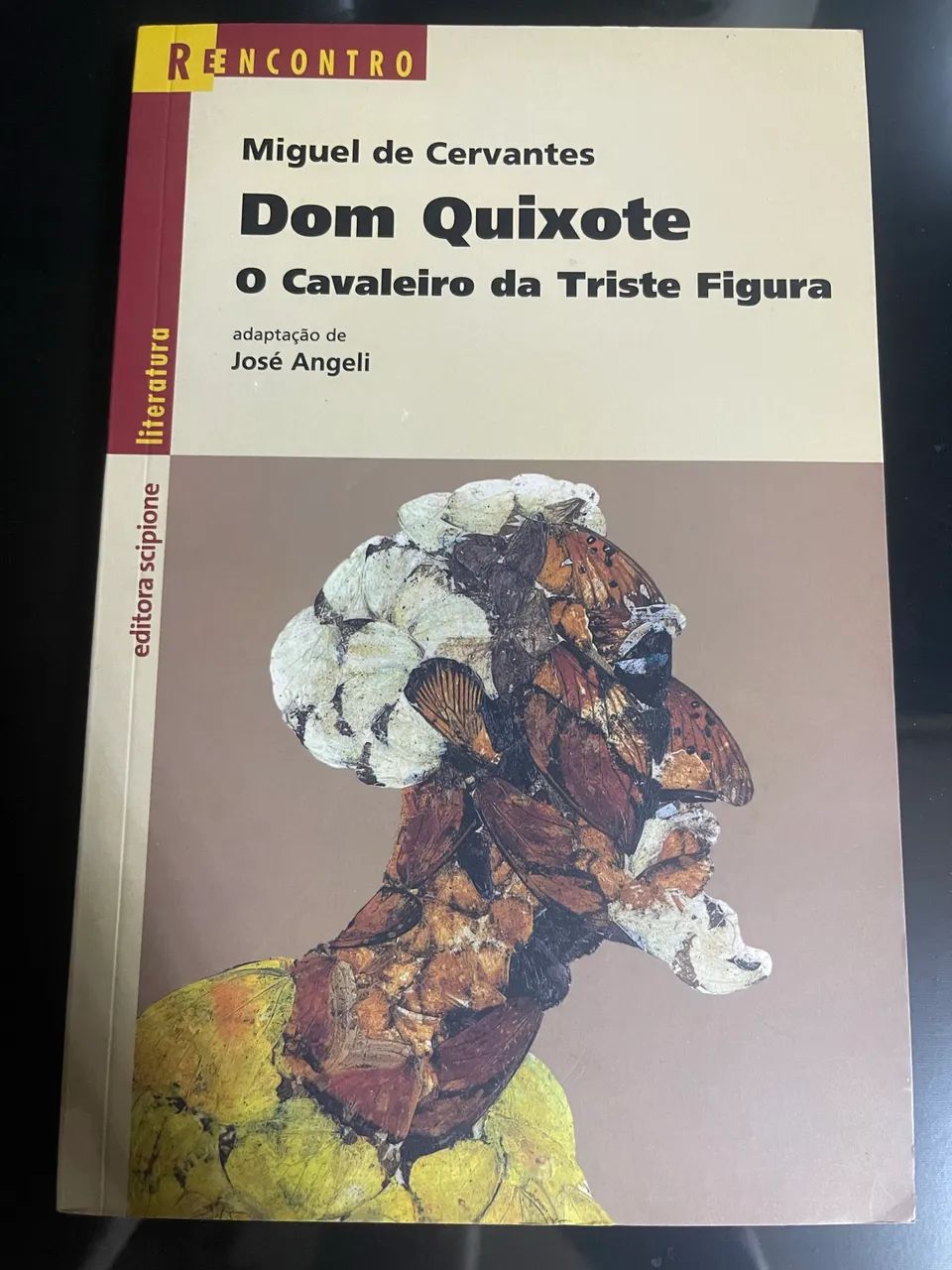 livro dom quixote