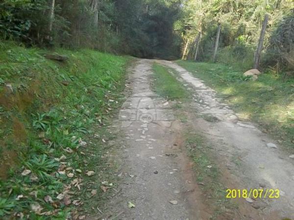 Chácara à venda em Planta laranjeiras, Piraquara cod:136698 - Foto 8