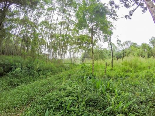 Chácara à venda em Picassinho, Piên cod:136674 - Foto 12