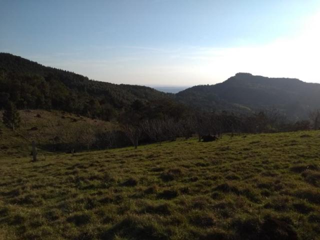 Sítio 12,0 hectares - samambaia - são francisco de paula - rs - Foto 18
