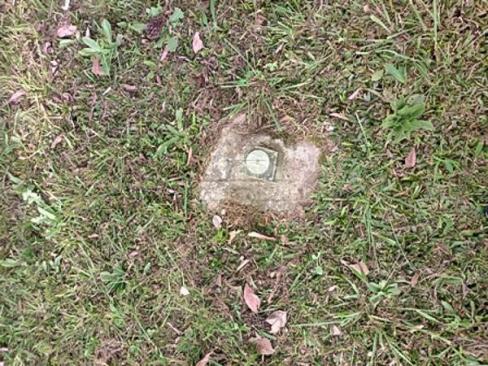 Chácara à venda em Planta laranjeiras, Piraquara cod:136698 - Foto 16