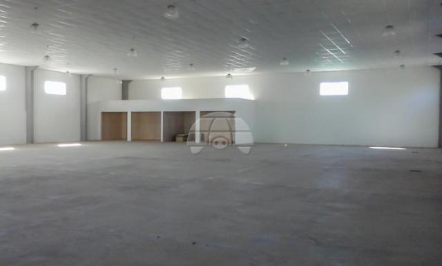 Galpão/depósito/armazém à venda em Vila nova, Teixeira soares cod:136088 - Foto 12