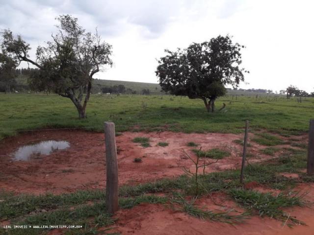 Chácara para venda em martinópolis, km 5 - Foto 14