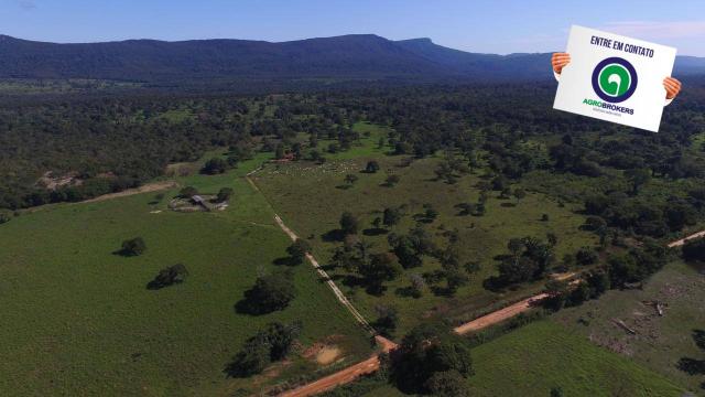 Fazenda região de rosário oeste - Foto 16