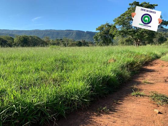 Fazenda região de rosário oeste - Foto 13