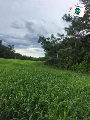 Fazenda 1.455ha região de rosário oeste - Foto 6