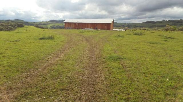 Área especial para sitio ou hortifrutigranjeiros com 12.5 HA - Foto 6