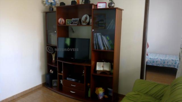 Casa à venda com 3 dormitórios em Pindorama, Belo horizonte cod:569036 - Foto 5