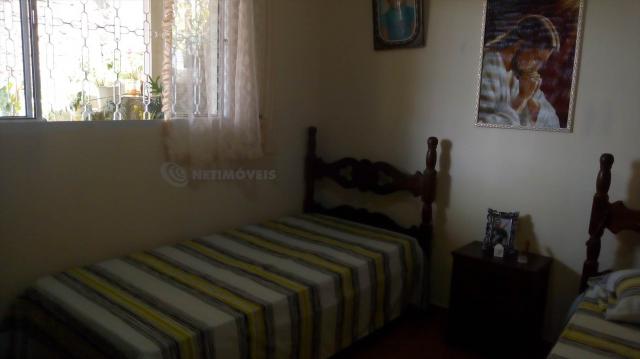 Casa à venda com 3 dormitórios em Pindorama, Belo horizonte cod:569036 - Foto 8