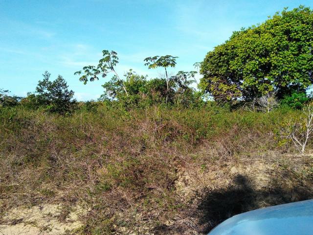 Terrenos em Nova Cabrália, áreas planas - Foto 7