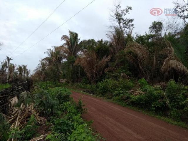 Área rural à venda, maranhão novo, são luís. - Foto 11