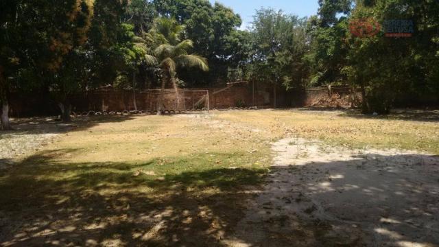 Chácara residencial à venda, vila j. lima, são josé de ribamar. - Foto 9