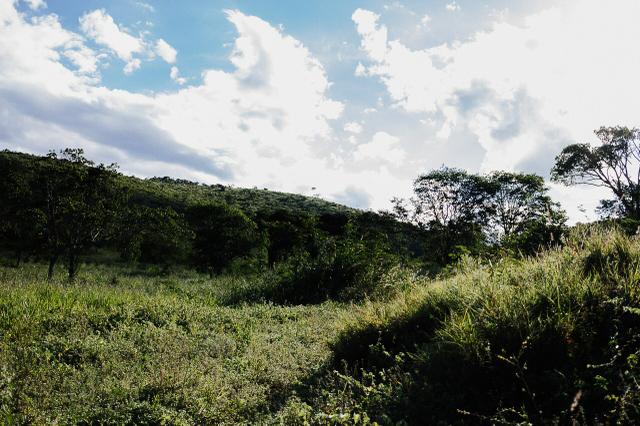 Magnífica fazenda 3.330 tarefas, a 23 km de jequié, br 116 na porta - Foto 11