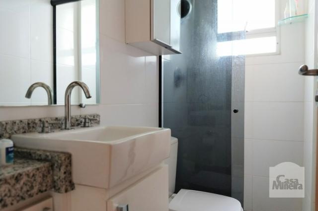 Apartamento à venda com 2 dormitórios em Cinqüentenário, Belo horizonte cod:257701 - Foto 12