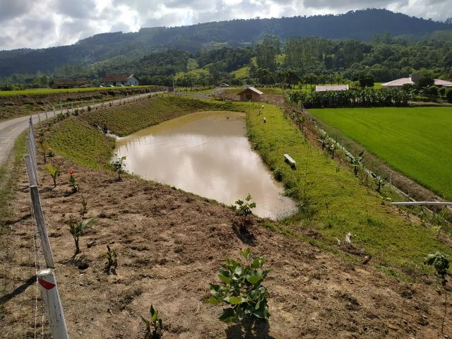 Sítio/escriturado/aceito trocas - Foto 5
