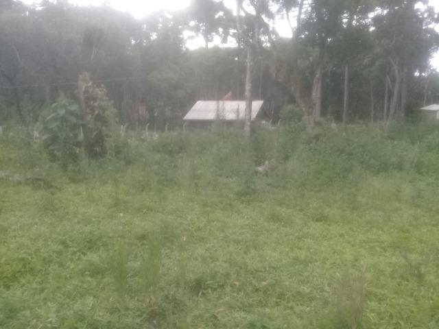 Chacrinha Próximo a Curitiba (Vendo / Troco) - Foto 2