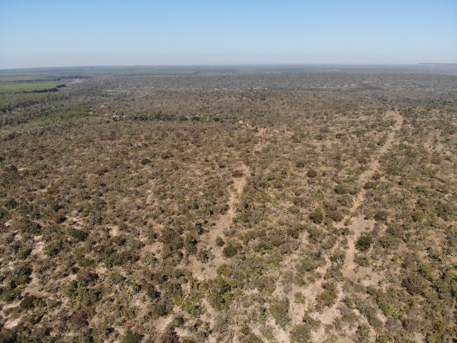 FAZENDA PRA LARANJA COM 7.000HECTARES, BARATA!! - Foto 2