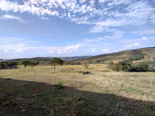 Fazenda de 220 Hectares em Leandro Ferreira - Foto 16