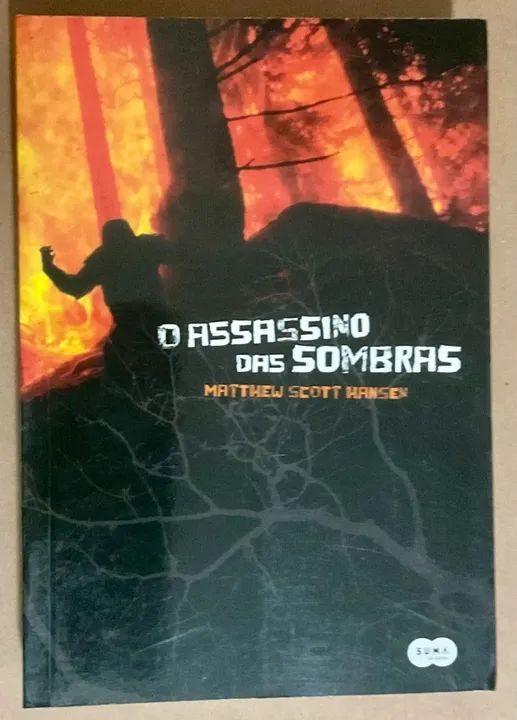 O Assassino das Sombras - Matthew Scott Hansen