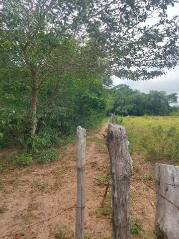 SITIO 15 HECTARES C/ BEIRA DE RIO 