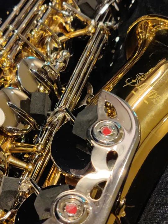 R$ 2.500,00 Sax Alto Saxofone Alto Novo Zero no Plástico Extraordinário - Foto 2
