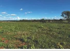 Venda dos lotes da (AABB) Campinápolis (MT) - Foto 4