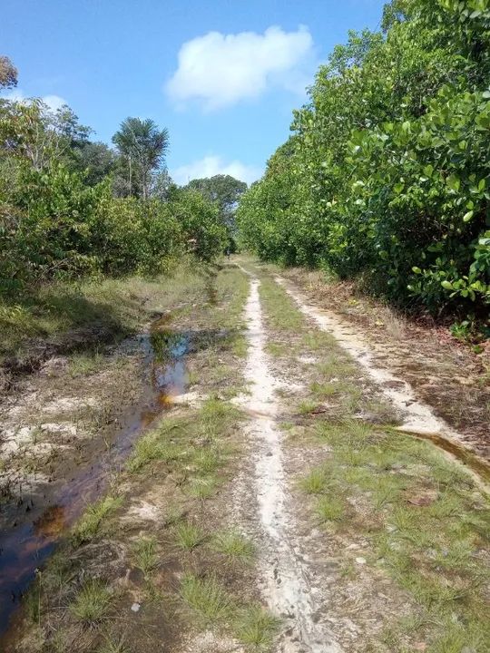 Terreno na Estrada de Mosqueiro - Foto 3
