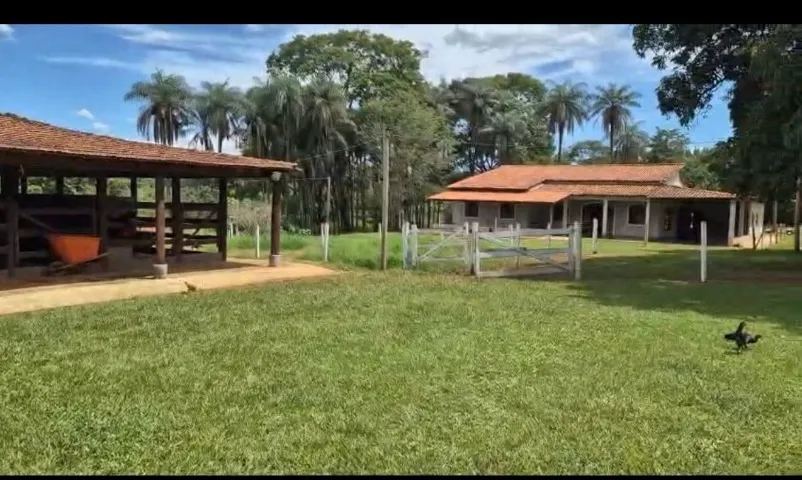 RDS vende lindo Haras 10.7 ha (porteira fechada) Novo Gama-GO