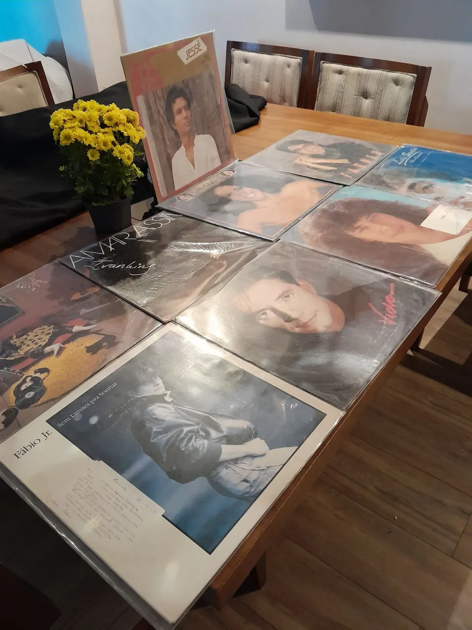 Coleção de Discos de Vinil - Música Brasileira