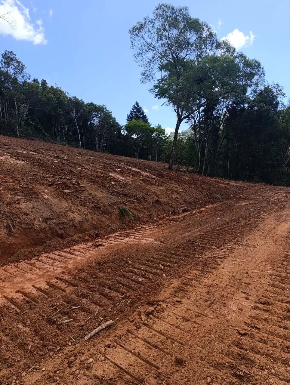 VENDO Lindo Terreno com 4000 m² - Bateias / Campo Largo - Foto 7