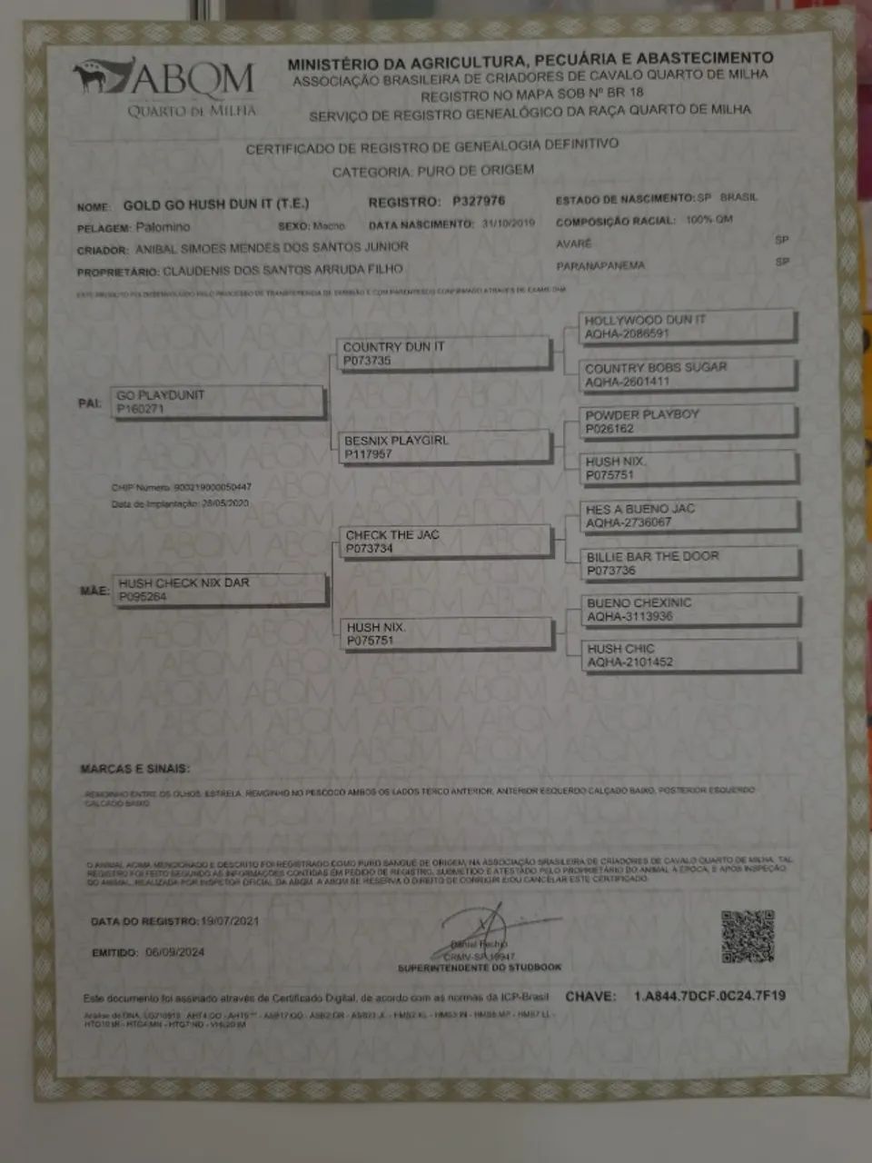 Garanhão Quarto de Milha  - Foto 4