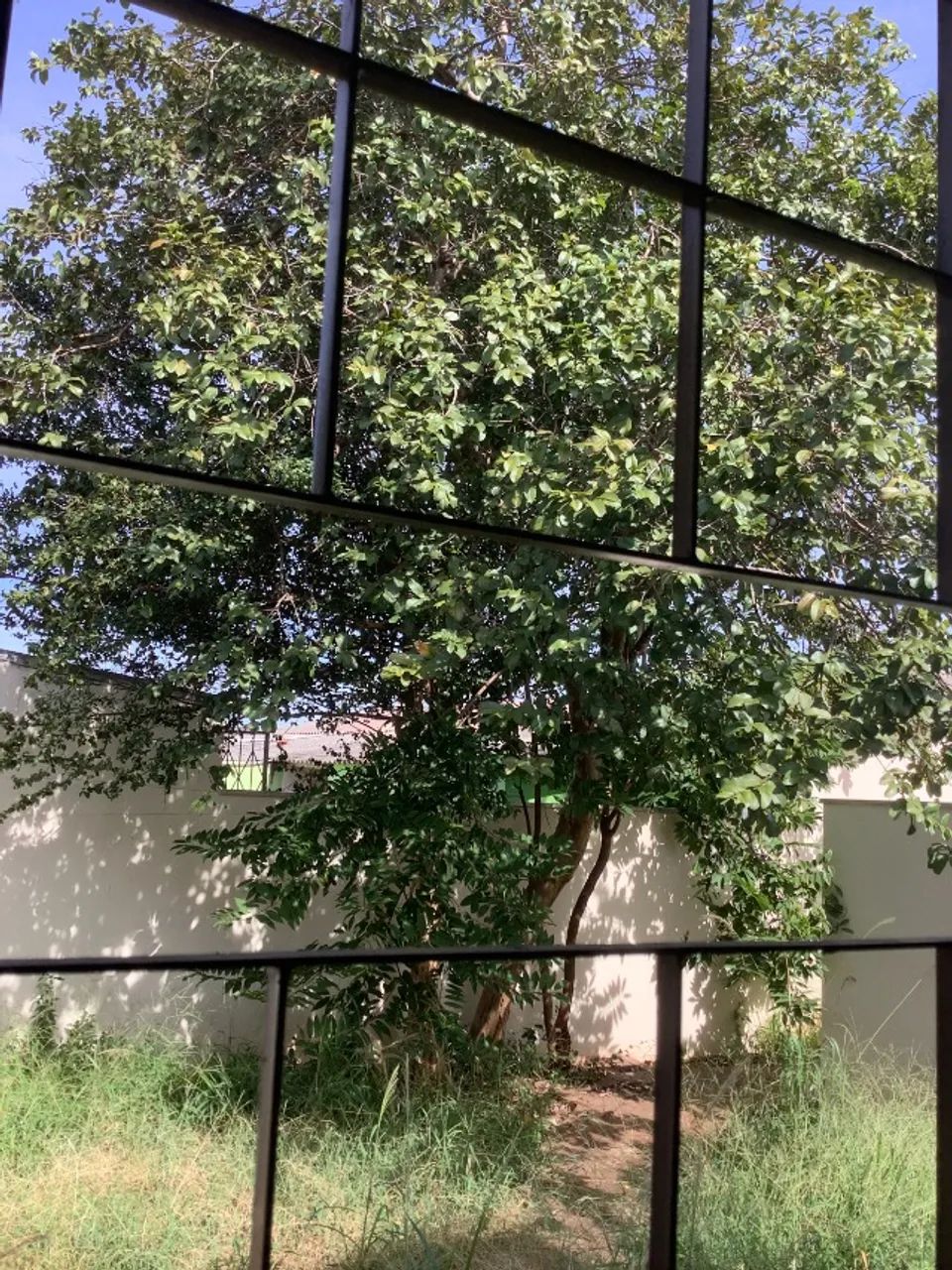 Foto - Campo Grande - Coophatrabalho