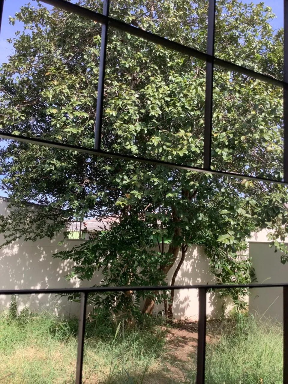Aluguel no Coophatrabalho - Terreno dos fundos, aconchegante ?