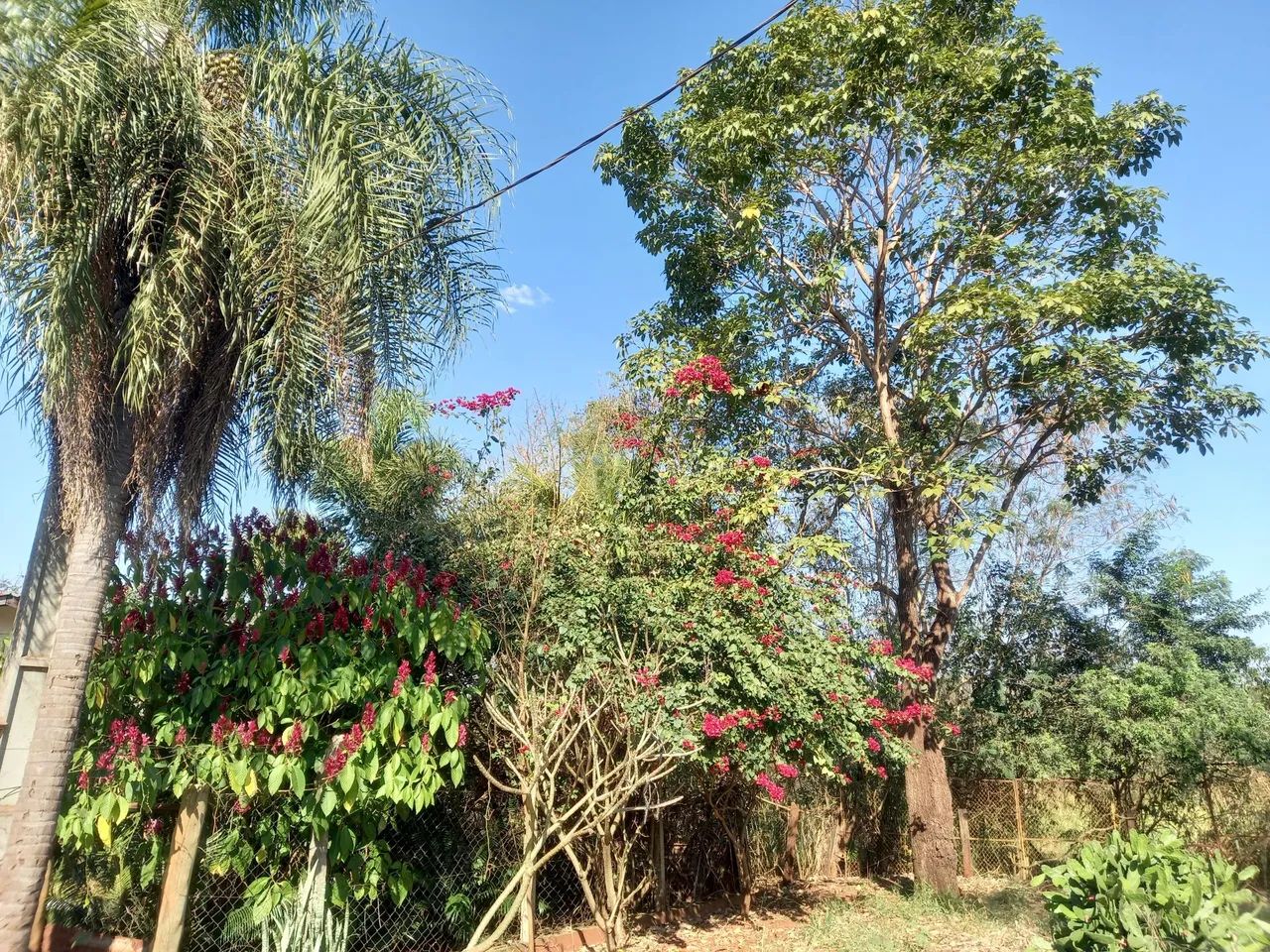 Vendo uma chácara a 15 km de Campo Grande MS 