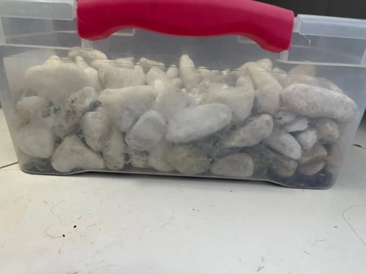 Pedras Brancas para Decoração de Jardim - Foto 3