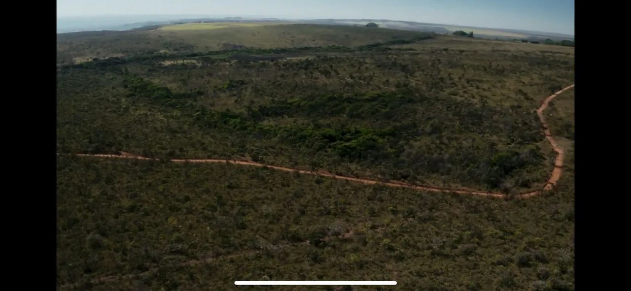 Fazenda 98 Tarefas Brejões-BA Excelente Terreno Oportunidade Negócio Rural roça - Foto 7