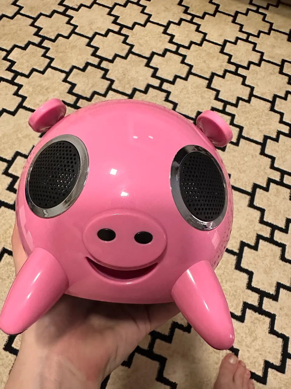 iSpeaker pig- som portátil  - Foto 4