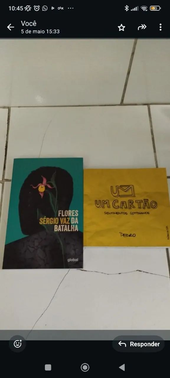 Livros - Quatro Vidas de Um Cachorro, Ruído Branco e Arsène Lupin - Foto 3
