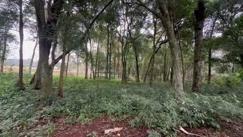 Fazenda/Sítio/Chácara para venda possui 1000 metros quadrados em Cataratas - Foz do Iguaçu
