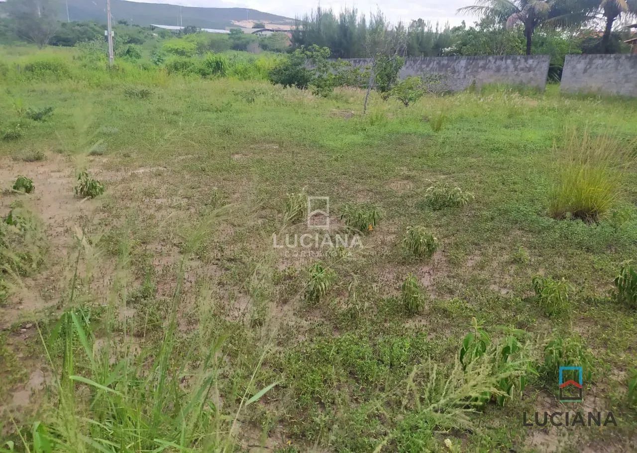 Lotes de 1000m² para venda pertinho da BR-232 e da Via Local - Gravatá/PE